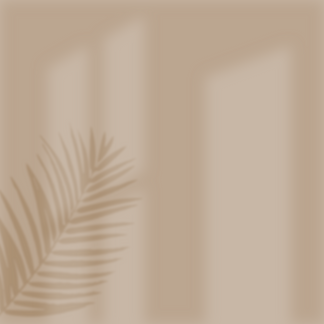 Indoor Plant Shadow Illustration